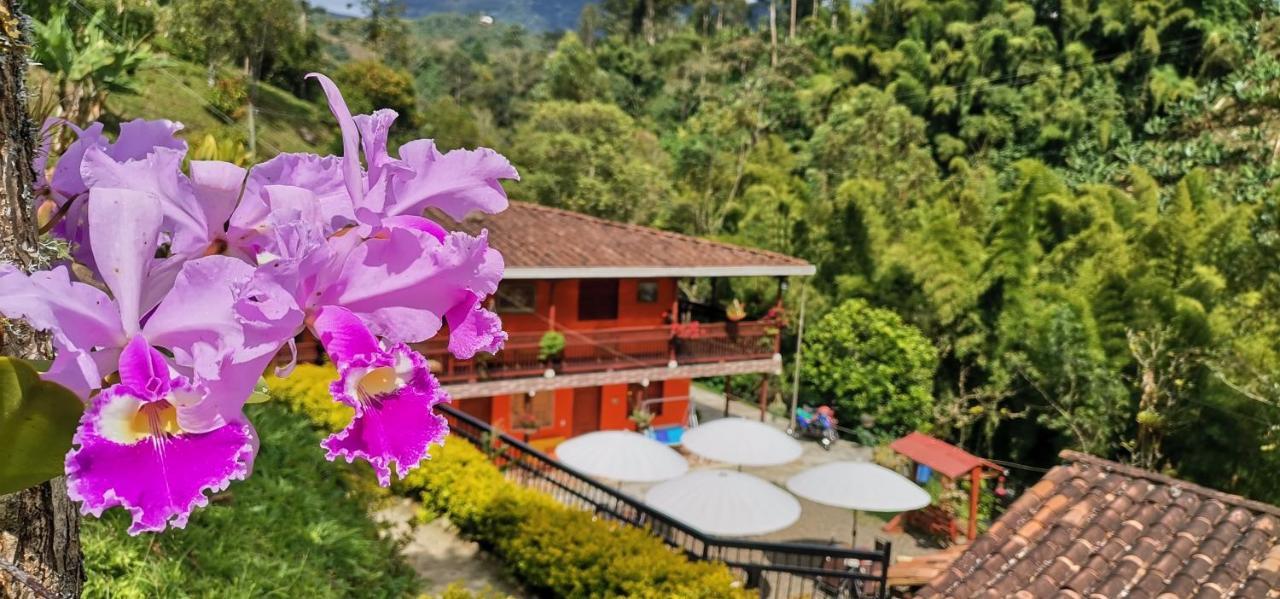 Hotel Orillas Del Pizano Хардін Екстер'єр фото
